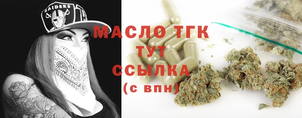 хмурый Лиски