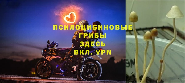 а пвп мука Липки