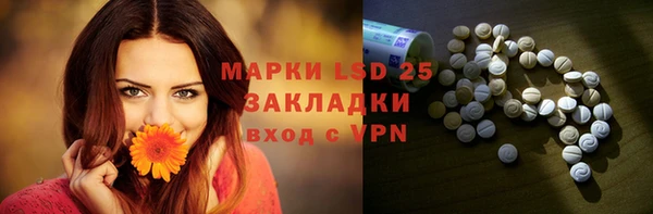 хмурый Лиски