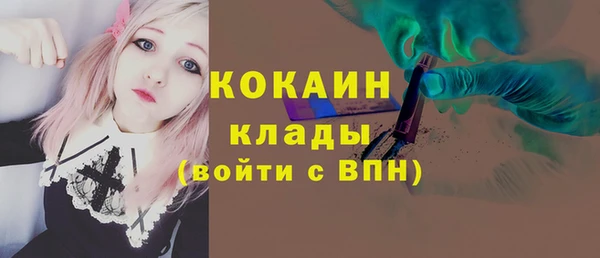 молекула духа Лихославль