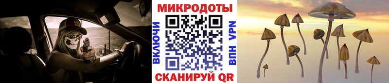 Псилоцибиновые грибы Magic Shrooms  Строитель 