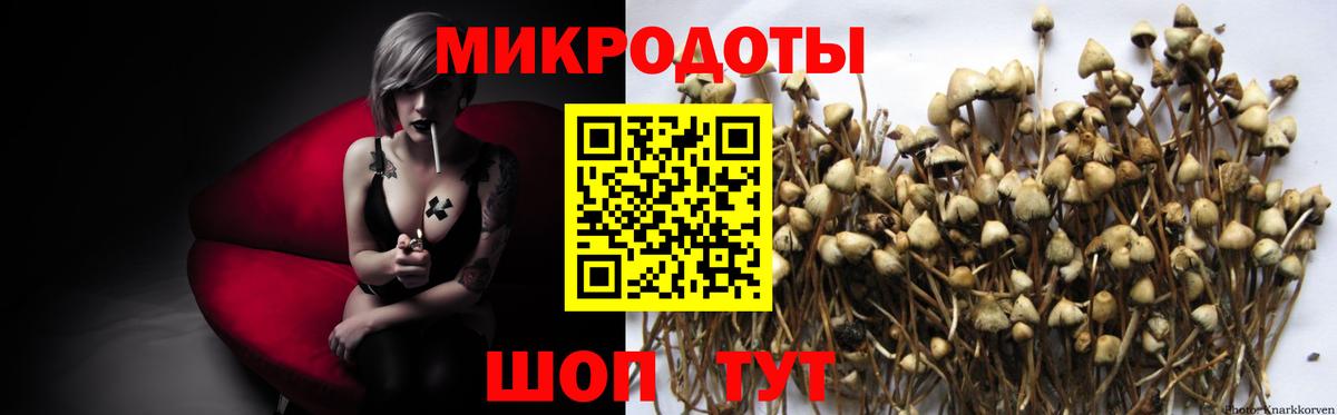 как найти наркотики  Вход с VPN  Строитель  Псилоцибиновые грибы ЛСД 