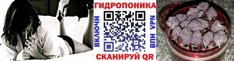 где продают наркотики  Строитель  Конопля сатива 